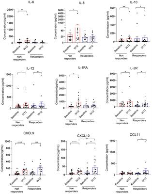 Targeting STAT3 in tumor-associated antigen-presenting cells as a strategy for kidney and bladder cancer immunotherapy